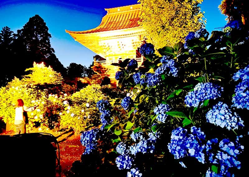 ライトアップされた境内で、来場者は幻想的な雰囲気を楽しんでいる＝多古町