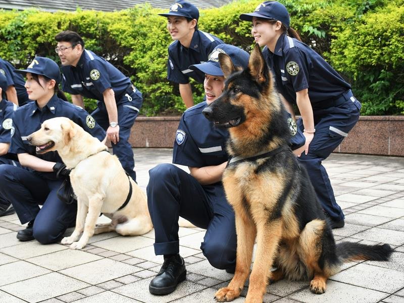 麻薬探知犬に認定され、喜びの表情を浮かべるハンドラーと犬たち＝成田市
