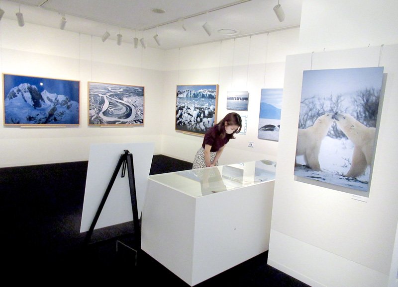 開催中の星野道夫展。「氷海に煌めくいのち」と題したコーナーの展示＝市川市