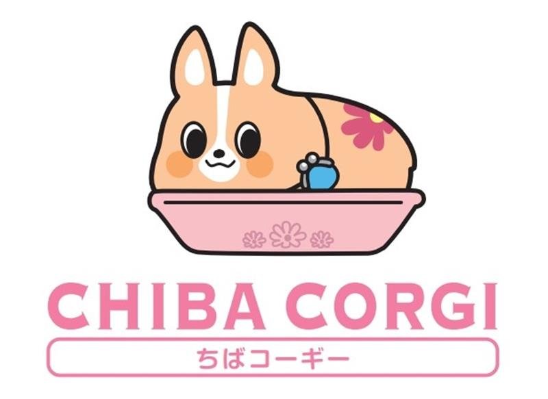千葉興業銀行の新イメージキャラクター「ちばコーギー」
