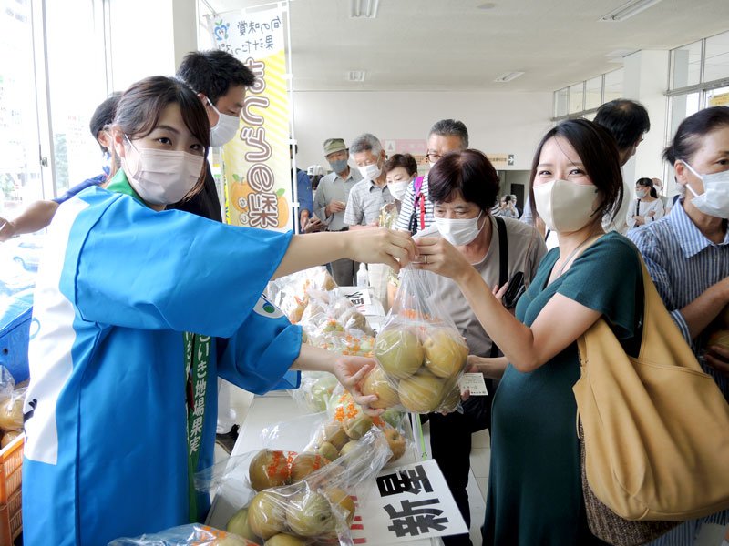 ひょうの被害で傷がつくなどした梨の販売会＝松戸市役所