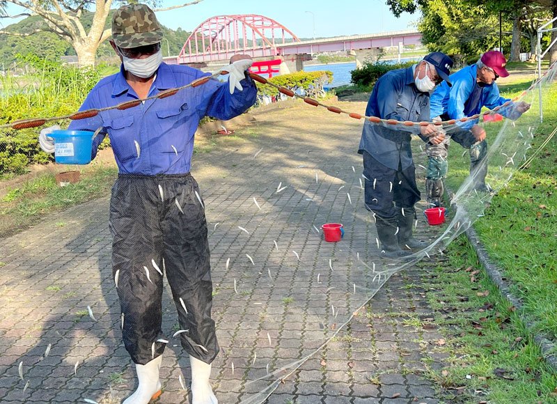 ワカサギ釣り解禁を前に行われた成育調査＝２８日、市原市の高滝湖畔