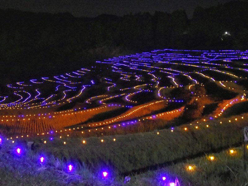 橙（だいだい）や青など４色に切り替わるＬＥＤで彩られた大山千枚田＝鴨川市