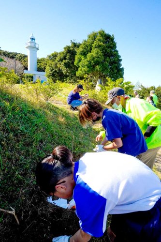 太東埼灯台そばの花壇にスカシユリの球根を植える太東小４年生たち＝いすみ市