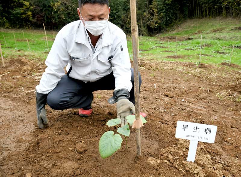 成長が早く二酸化炭素の吸収が期待できる早生桐の苗が植樹された傾斜地＝成田市