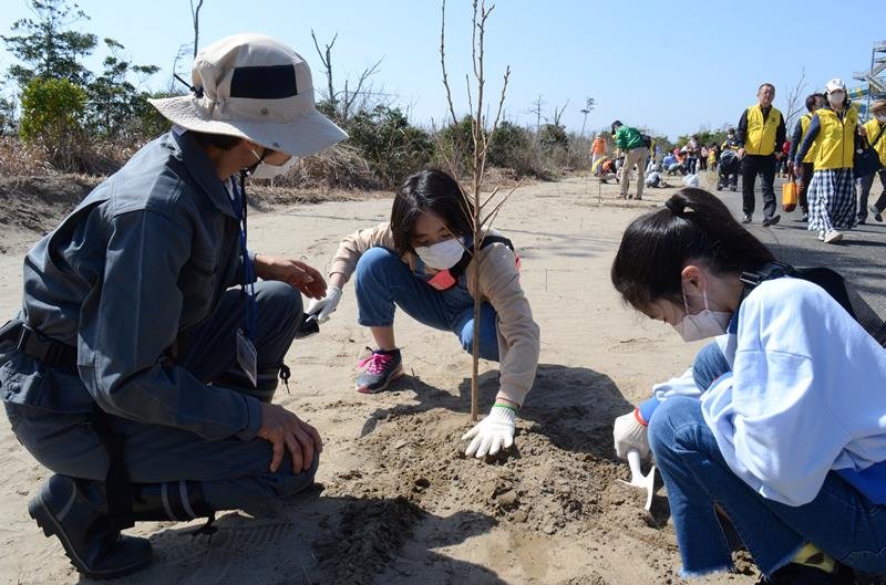 幼木を植樹する参加者＝１１日、山武市
