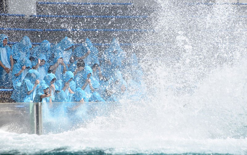 シャチの「ララ」から祝福の水しぶきを受ける新入社員ら＝１日、鴨川市
