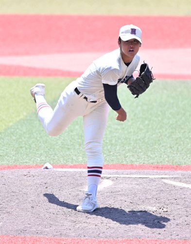 習志野の小城知