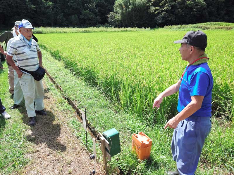 イノシシ対策の電気柵について説明する西国吉地区の農家の男性（右）＝市原市