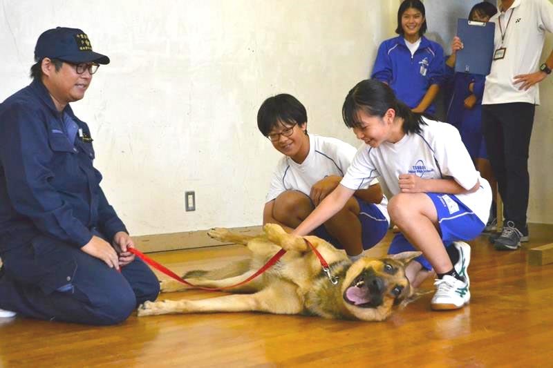 緊張がほぐれて甘える警察犬と喜ぶ生徒たち＝船橋市立坪井中学校
