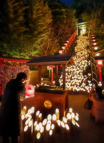 遠見岬神社の石段に並べられた竹灯籠＝２５日夜、勝浦市