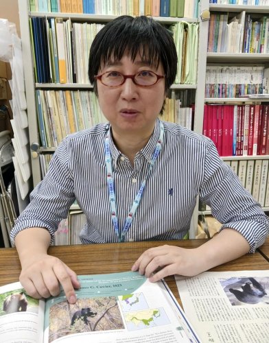 千葉県にクマがいない理由について説明する下稲葉さん＝千葉市中央区の県立中央博物館
