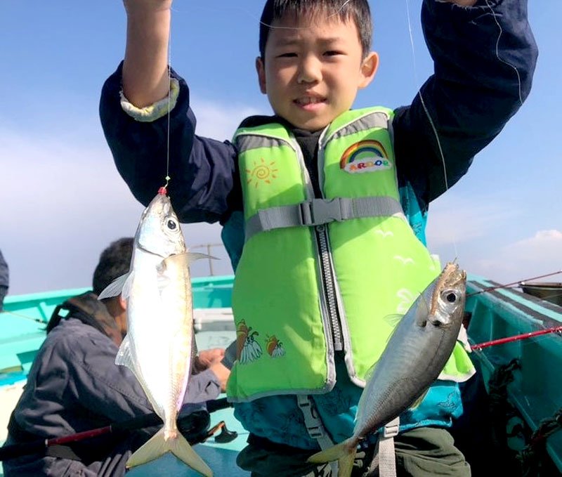 木更津沖で釣り上げたアジ（写真は「守山丸」提供）