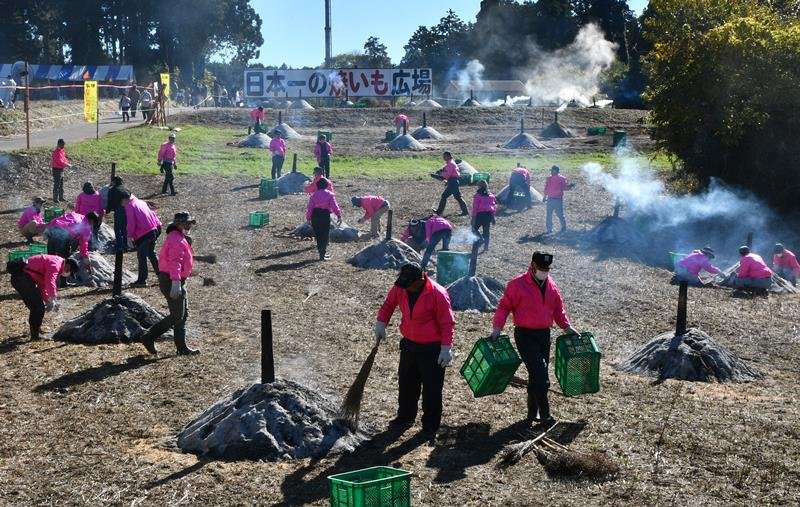 ４年ぶりに開催された「栗源のふるさといも祭」。焼き芋の会場で準備するスタッフら＝１１月、香取市
