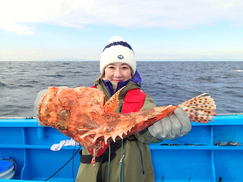 館山沖で釣り上げたオニカサゴ（写真は「真澄丸」提供）