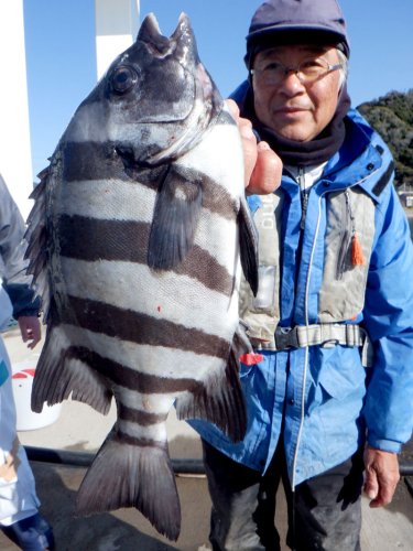 川崎　アジ良型交じり　太東　フグ食い活発　【今週の釣果】