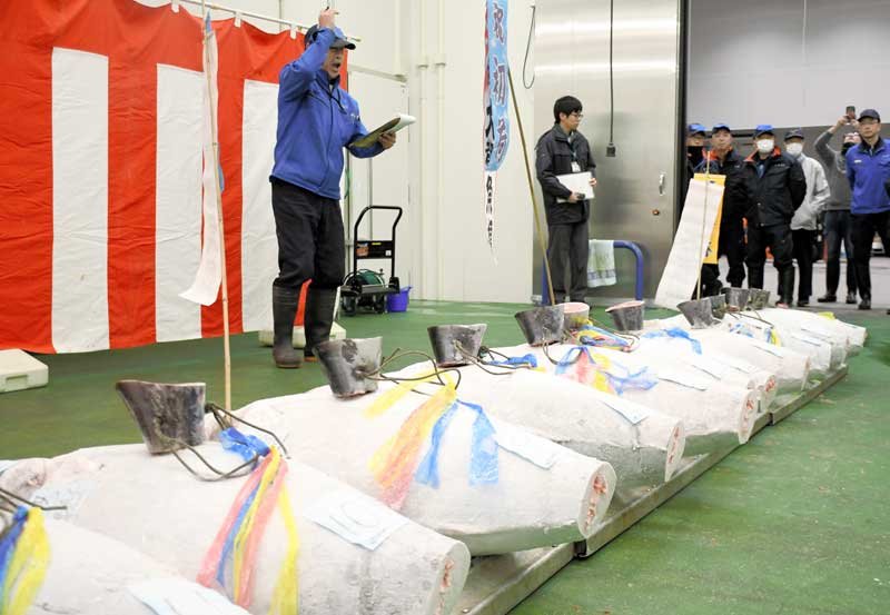 成田市場での冷凍バチマグロの初競りで、威勢良く声を発する競り人＝５日午前５時４０分ごろ、成田市