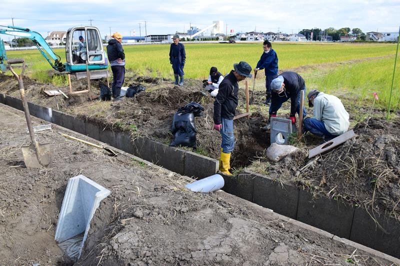 田んぼダムに必要な設備を設置する早野地域資源保全会のメンバーら＝２０２２年１１月、茂原市

