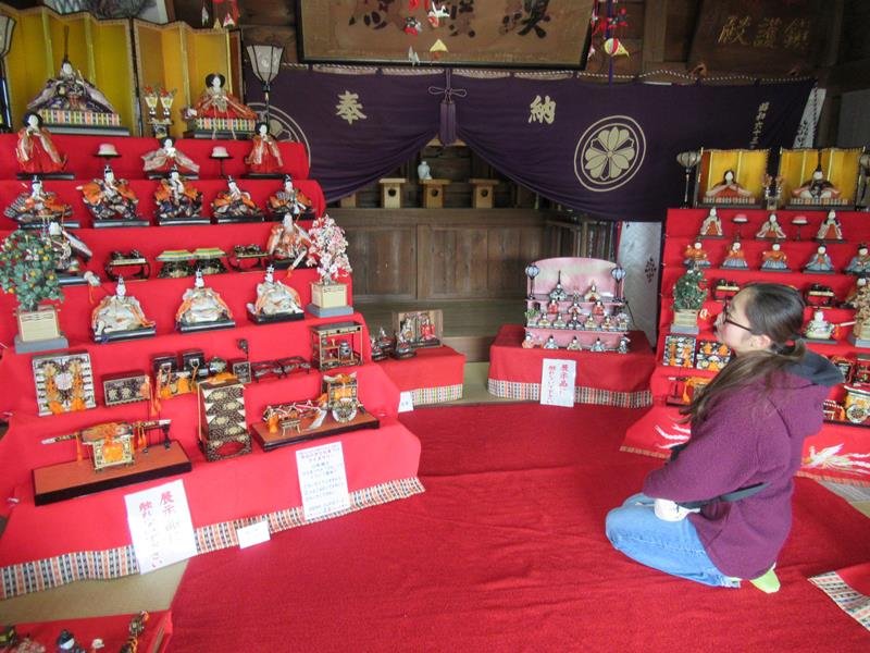 安房神社の社殿には、関西様式と関東様式の七段飾りが並ぶ＝１７日、市川市
