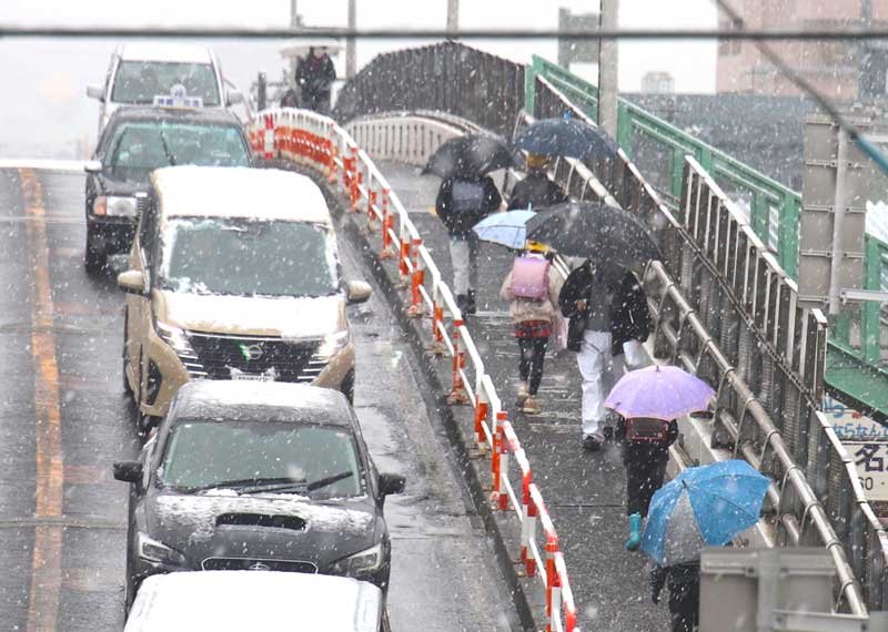 雪が降る中、登校する児童ら＝８日午前７時５５分ごろ、習志野市