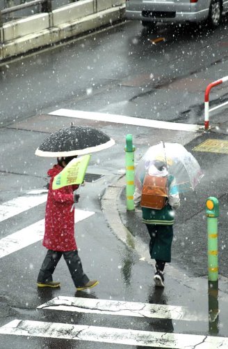 千葉県内の一部で降雪　低気圧発達、交通への影響注意