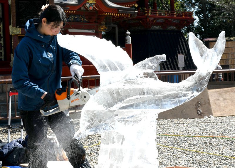 チェーンソーを使って氷の塊をイルカの氷彫刻に作り上げていく職人＝成田市の成田山新勝寺
