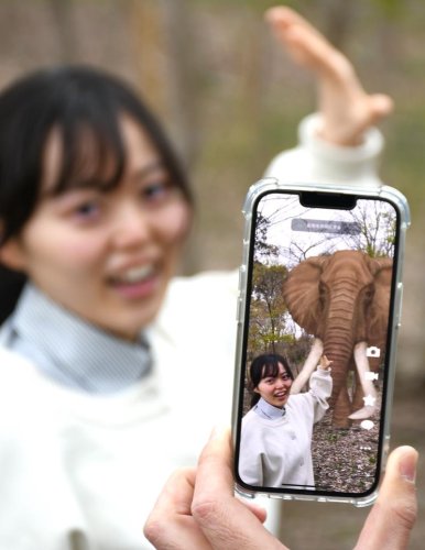 実際にアフリカ象に触れているような写真を撮影できる富里市の試験イベント「かいえん２・５じげん動物園」＝富里市
