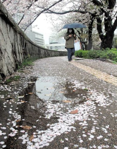 【速報】千葉県内、強風で交通乱れ　京葉線、運転見合わせ　アクアライン通行止め、東京湾フェリー運航見合わせ