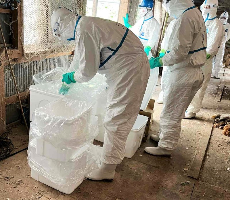 富里市内で行われた防疫作業の様子（県提供）