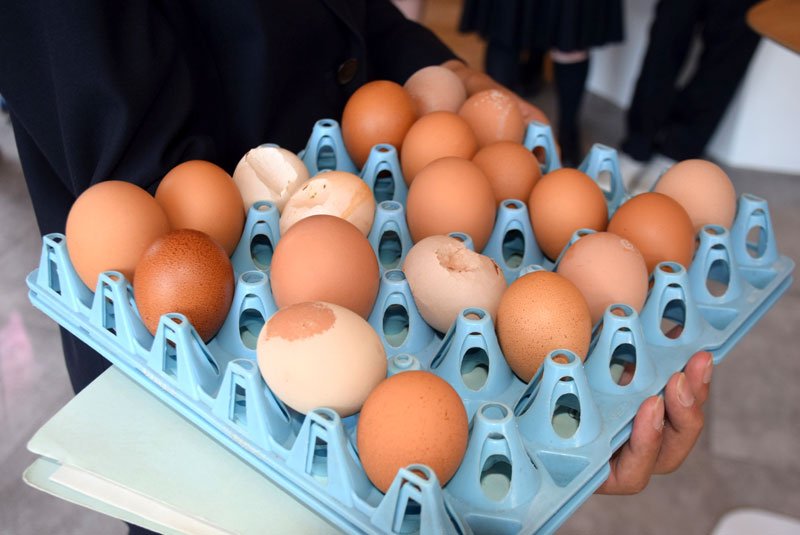 旭農高　規格外卵プリン完成　千葉女子高レシピ使用　食品ロス削減で連携