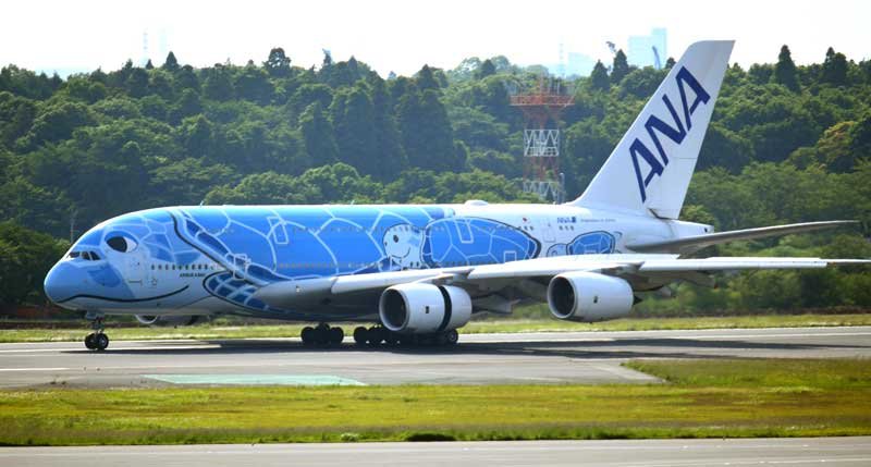 就航５周年となった２４日に成田空港に着陸したフライングホヌの初号機＝成田市