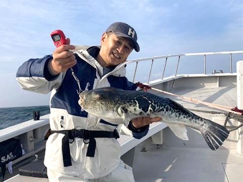 保田・大原　イサキ食い活発　木更津・中ノ瀬　シロギス好調　【今週の釣果】