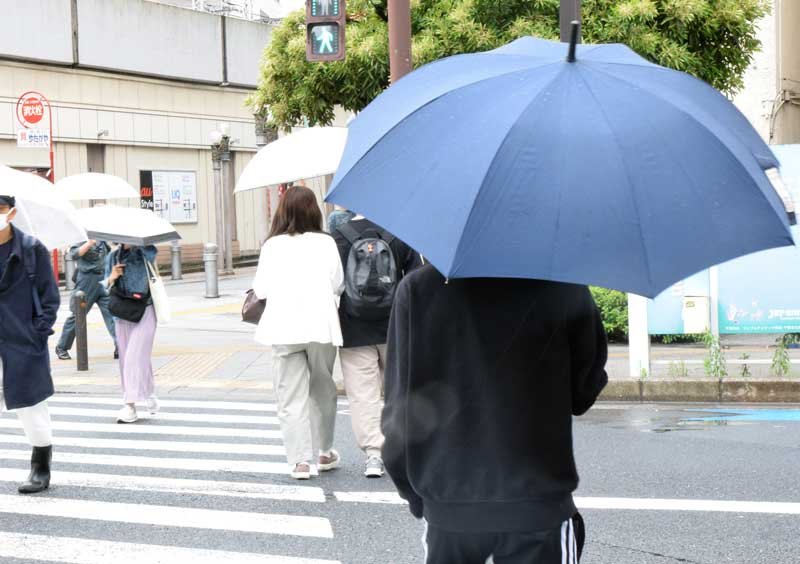 写真はイメージ