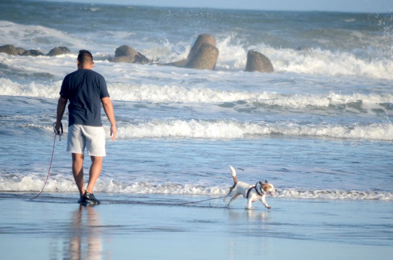 暑さが少し和らいだ夕方に海岸沿いで犬を散歩させる人の姿も＝１７日、九十九里町