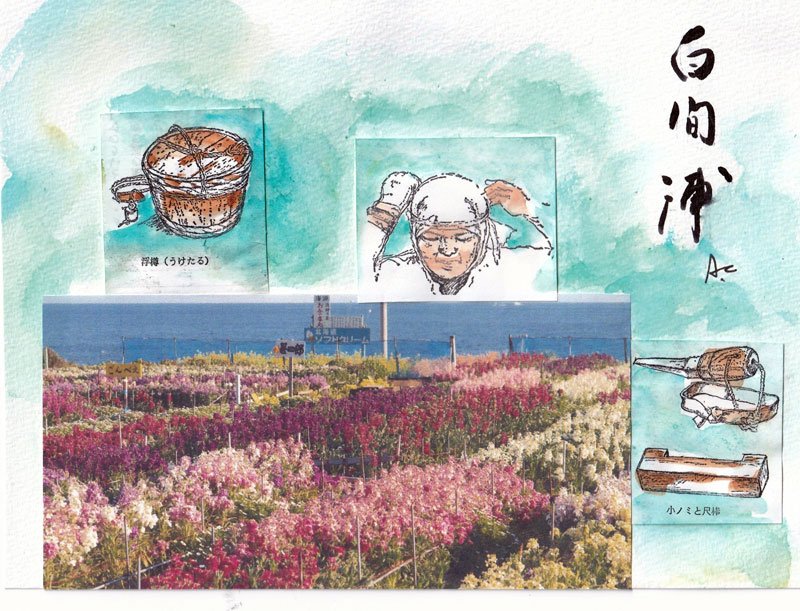 お花畑の写真（南房総市提供）と書籍「海女たちの四季」のイラスト