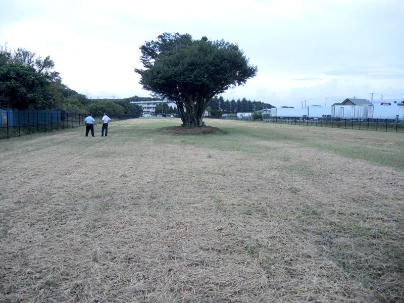 子どもたちが自由に遊べるように野田市が整備した「山崎小前あそびの広場」＝８月２８日、同市