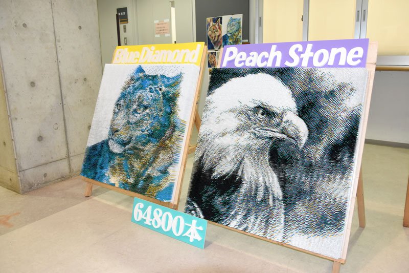 ようじ２３万本のオオカミ　７日文化祭で一般公開　印西　印旛明誠高生が大作絵画