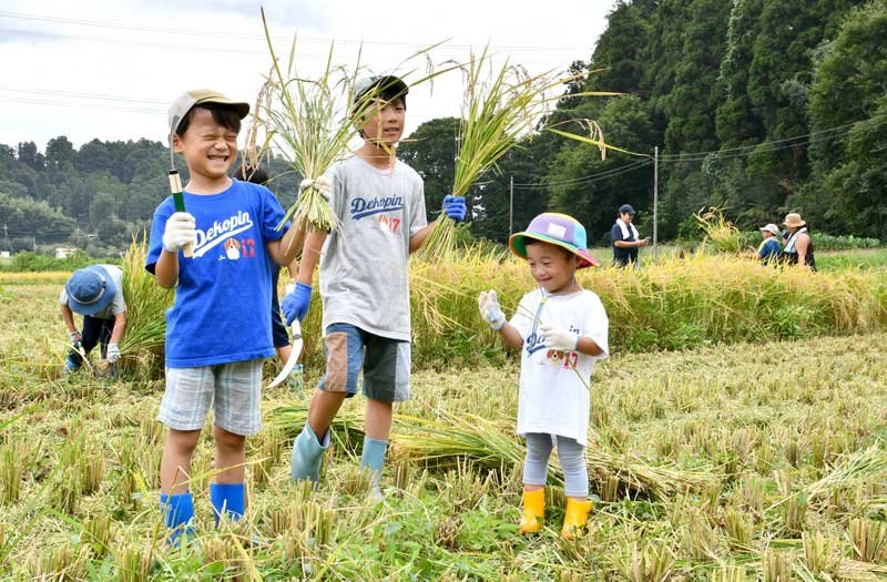 元気に多古米を収穫した子どもたち＝多古町