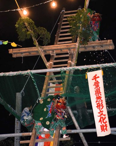 大はしごの上で紙吹雪を吹かせる２頭の獅子＝１２日午後９時１５分ごろ、長生村