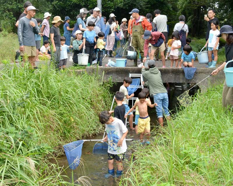 自然豊かな水路で生き物探しを楽しむ子どもたち＝６日、いすみ市