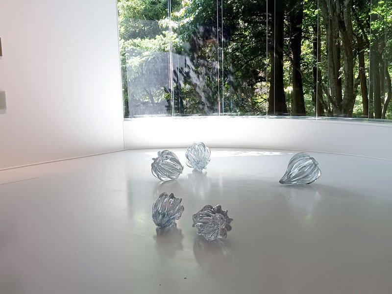２００展示室に設置されたクリスタルガラスの作品「フィザリス」。ⒸＫａｔｓｕｈｉｔｏ　Ｎｉｓｈｉｋａｗａ　２０２４