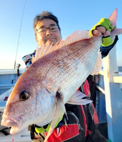 木更津、アジ食い活発　木更津・江戸川、ハゼ好調　【今週の釣果】
