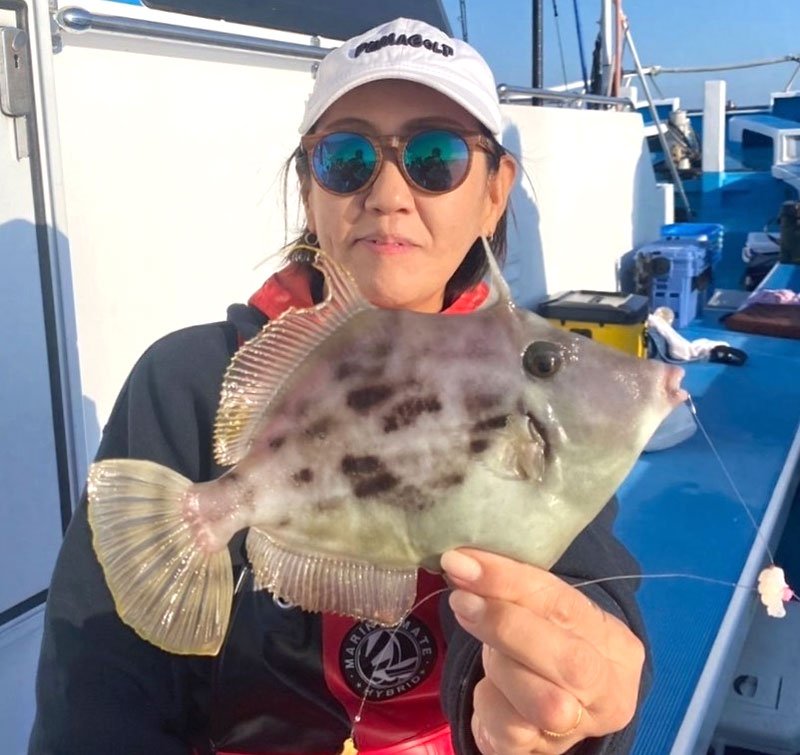 木更津、アジ食い活発　木更津・江戸川、ハゼ好調　【今週の釣果】