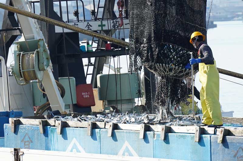 銚子漁港、水揚げ量日本一ならず　サバ不振目立つ