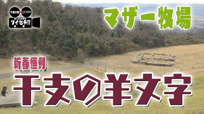 気になるあの記事を「ツイセキ！！」