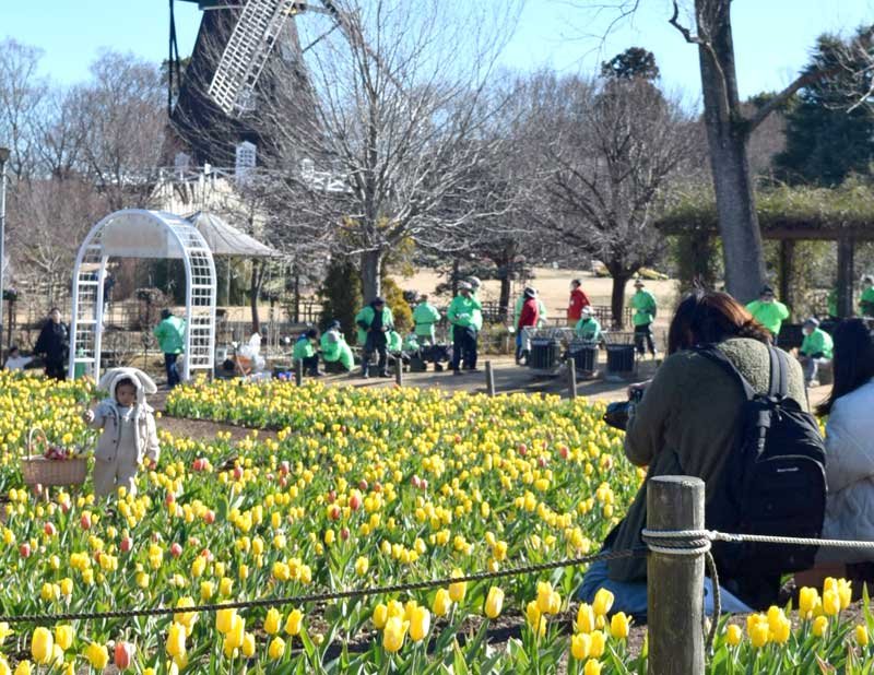 チューリップ迷路で記念撮影する親子連れ＝８日、船橋市
