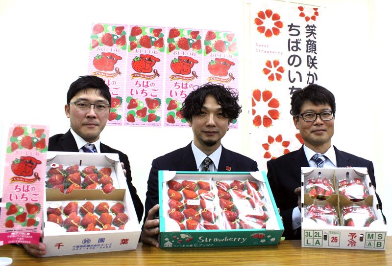 千葉県産イチゴをＰＲする周郷会長（中央）ら＝１４日、千葉市中央区
