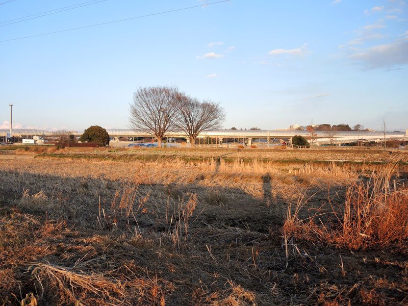 松戸市が進める地区計画ガイドライン策定作業の対象となっている矢切地区＝１月２５日
