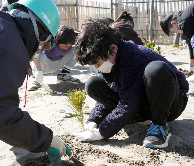 植樹会でクロマツの苗木を丁寧に植える小学生ら＝１８日、旭市
