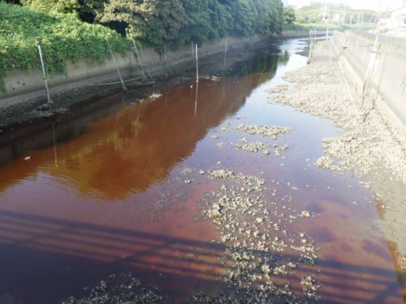 水が赤褐色に変色した水路（君津市の小糸川管理橋東側）＝２０２２年６月１９日撮影（千葉海保提供）